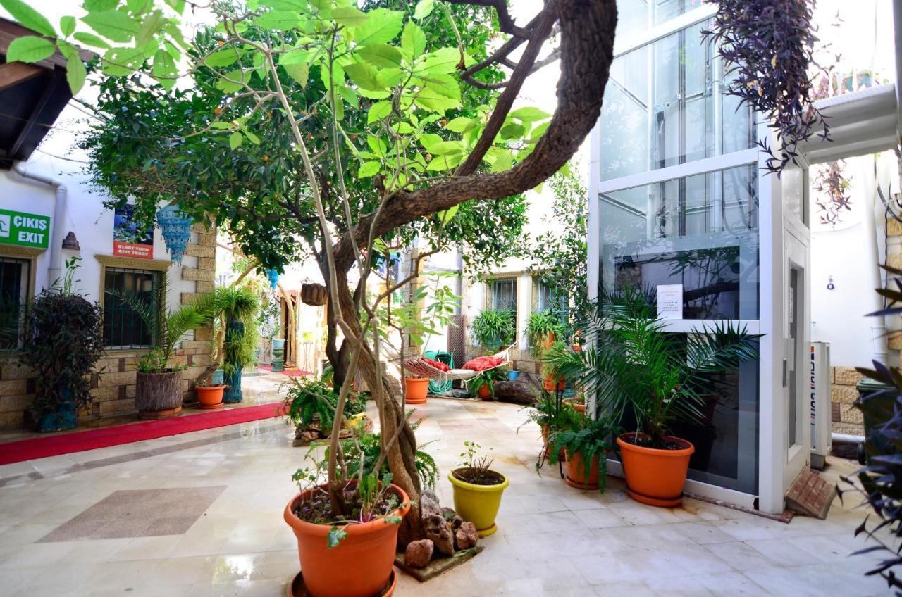 Sevin Hotel Pension Bodrum ภายนอก รูปภาพ